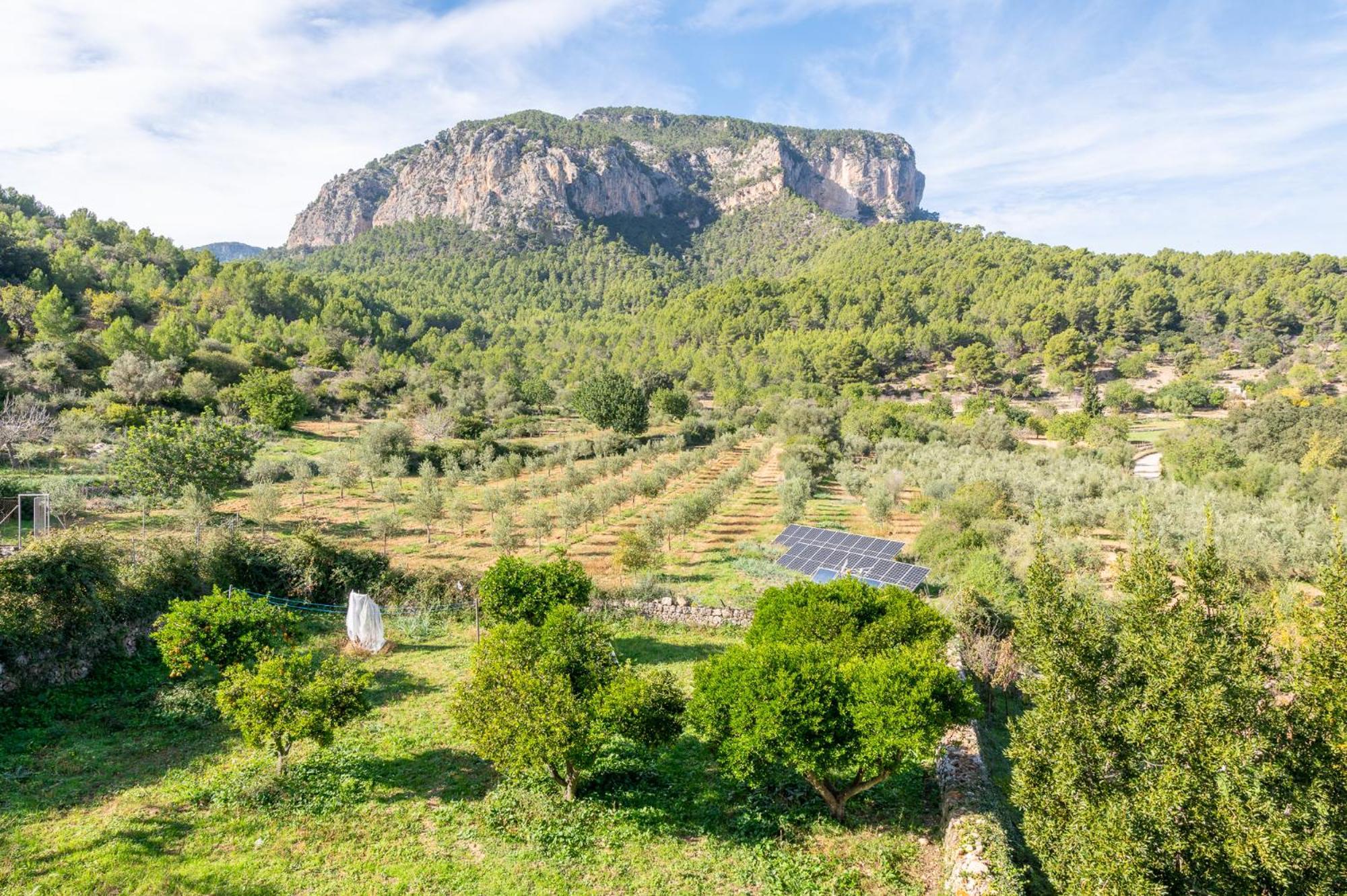 Agroturismo Filicumis By Mhr Lloseta Екстериор снимка