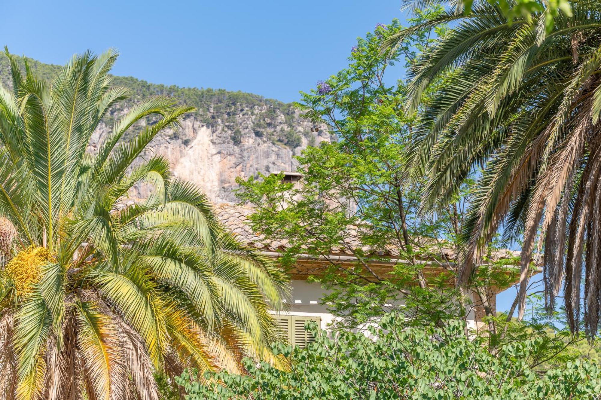 Agroturismo Filicumis By Mhr Lloseta Екстериор снимка